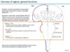 N01,N02_Introduction to Functional Neuroanatomy I, II_SP14_slides_Page_09.jpg