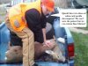 deer CPR2.jpg