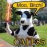 Calf