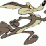 wtfcoyote