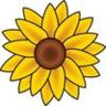 Sunflower2012