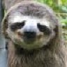 slothster