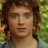 frodohobo