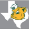 TexasBear