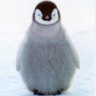 ProbablyAPenguin