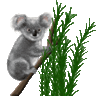 Chemistry Koala