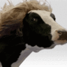 NeverEnoughCow