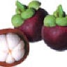 Mangosteen