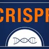 CRISPR_Queen