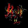 isocitrate dehydrogenase