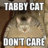 tabbycatdontcur