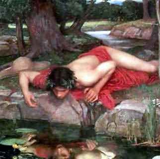 narcissus1.jpg