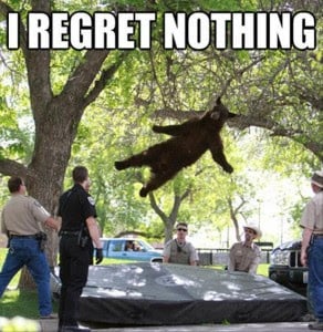 I-regret-nothing-bear-292x300.jpg