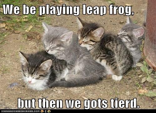 lolcats+leap+frog.jpg