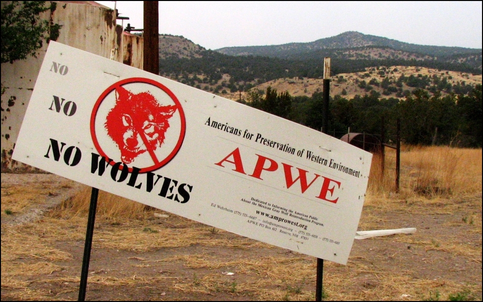 No+wolves.jpg