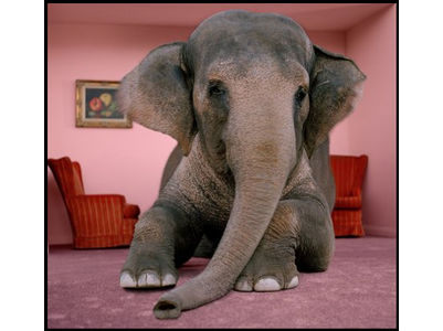 elephany.jpg