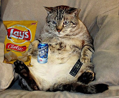 couch+potato+cat.jpg