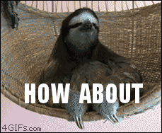 Sloth-how-about-no.gif