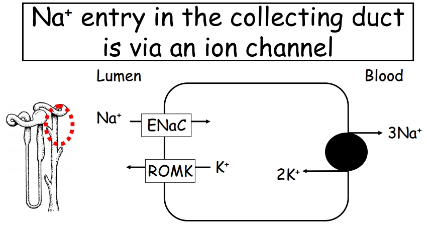 KKq5L.jpg