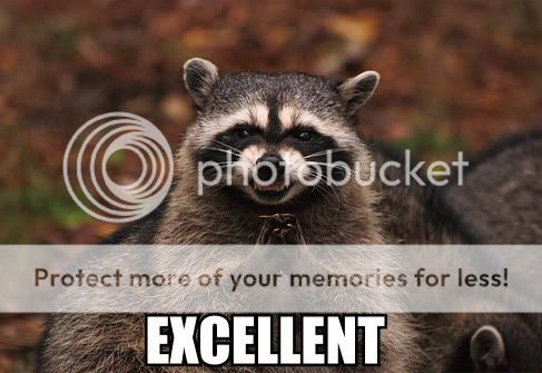 excellent-raccoon.jpg