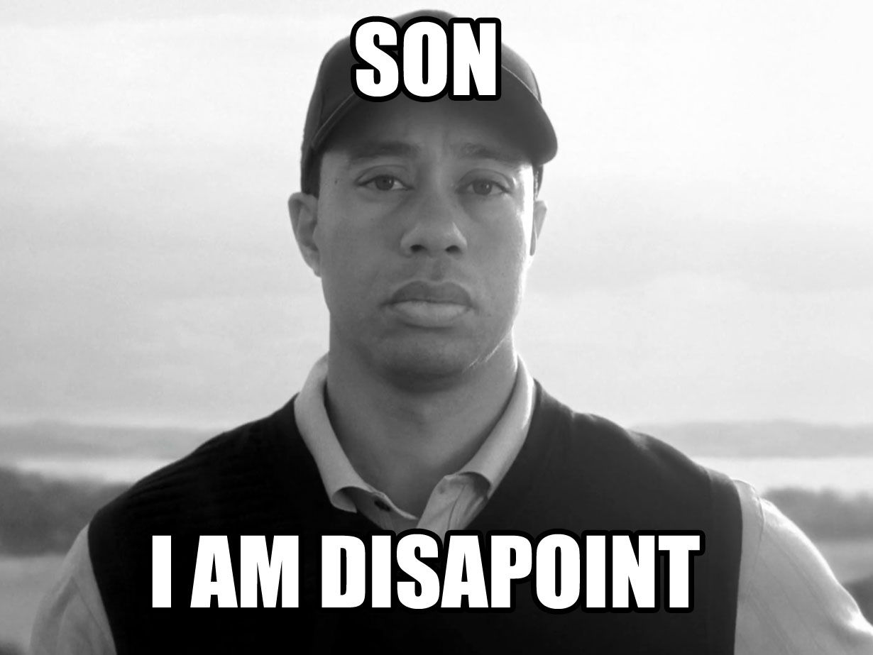 Tiger-Son-I-Am-Disappoint.jpg
