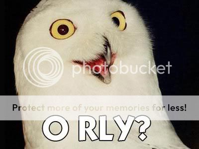owl-orly.jpg