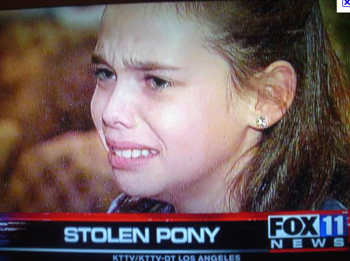 stolen-pony.jpg