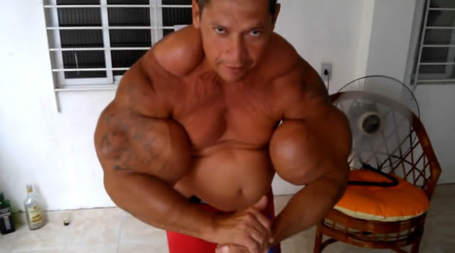 anomalia_synthol.jpg