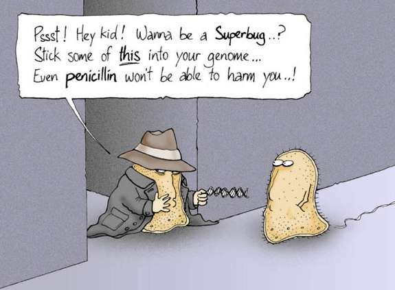 antibiotic-resistance-cartoon.jpg