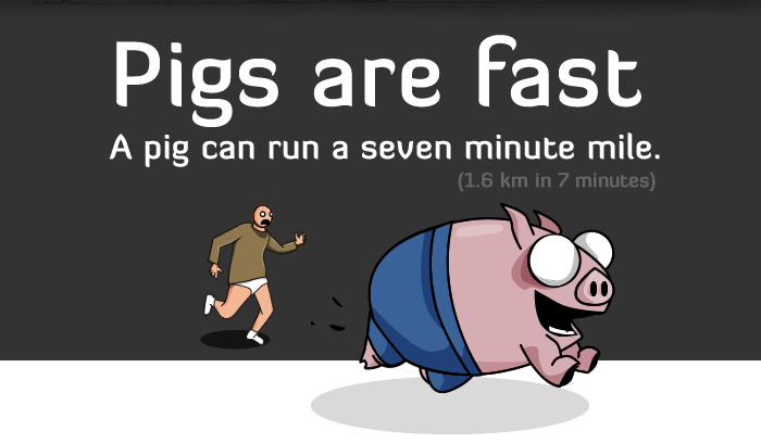 fast.png