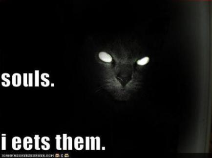 basement-cat-eats-souls.jpg