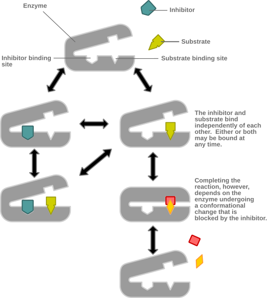 536px-Non-competitive_inhibition.svg.png