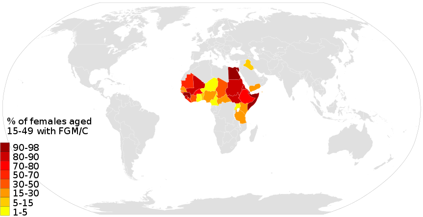 863px-2013_Female_Genital_Mutilation_Cutting_Circumcision_FGM_World_Map_UNICEF.SVG.png