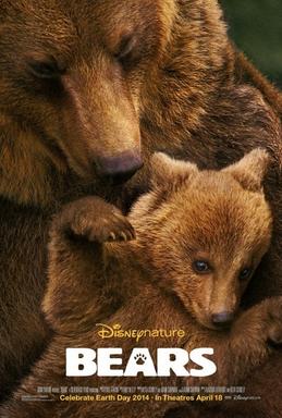 Bears_2014_film.jpg