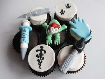 clever-cupcakes-animal-biology-400x300.jpg