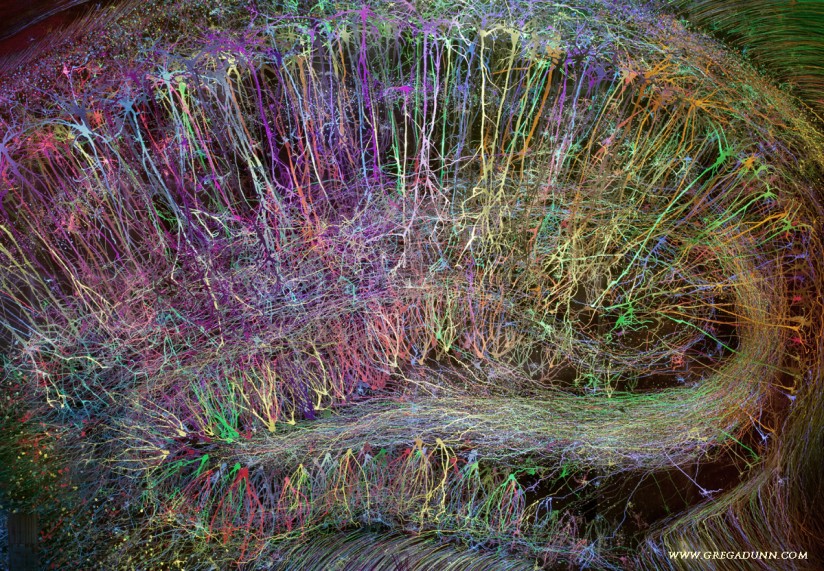Brainbow-Hippocampus-rainbow-colors-large-824x571.jpg
