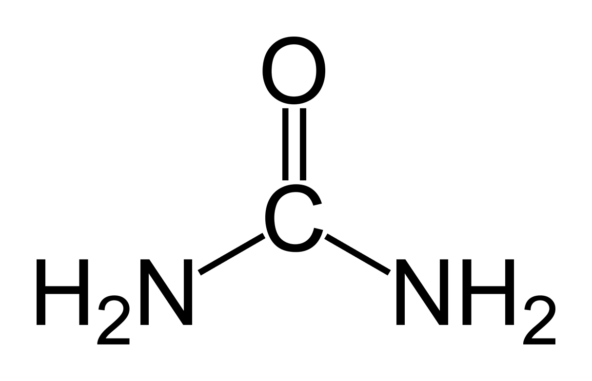 Urea.png