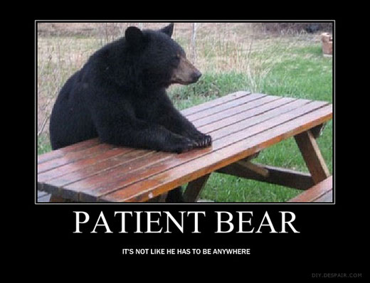 patient-bear.jpg