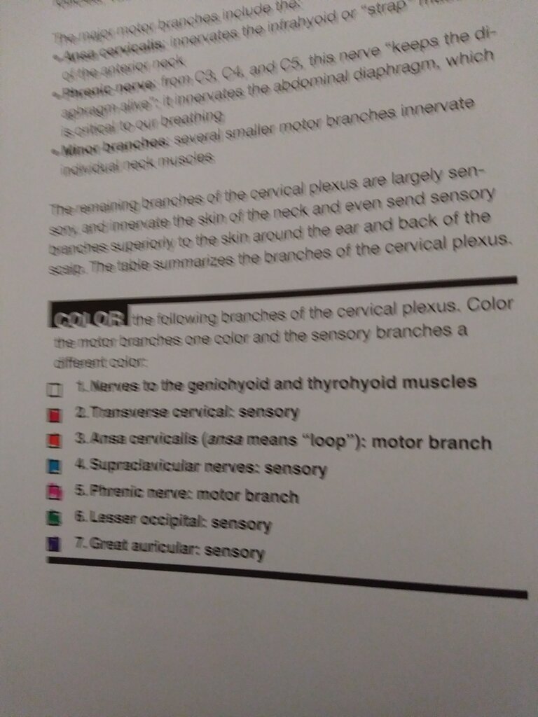 274153