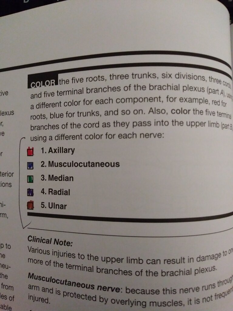 274155