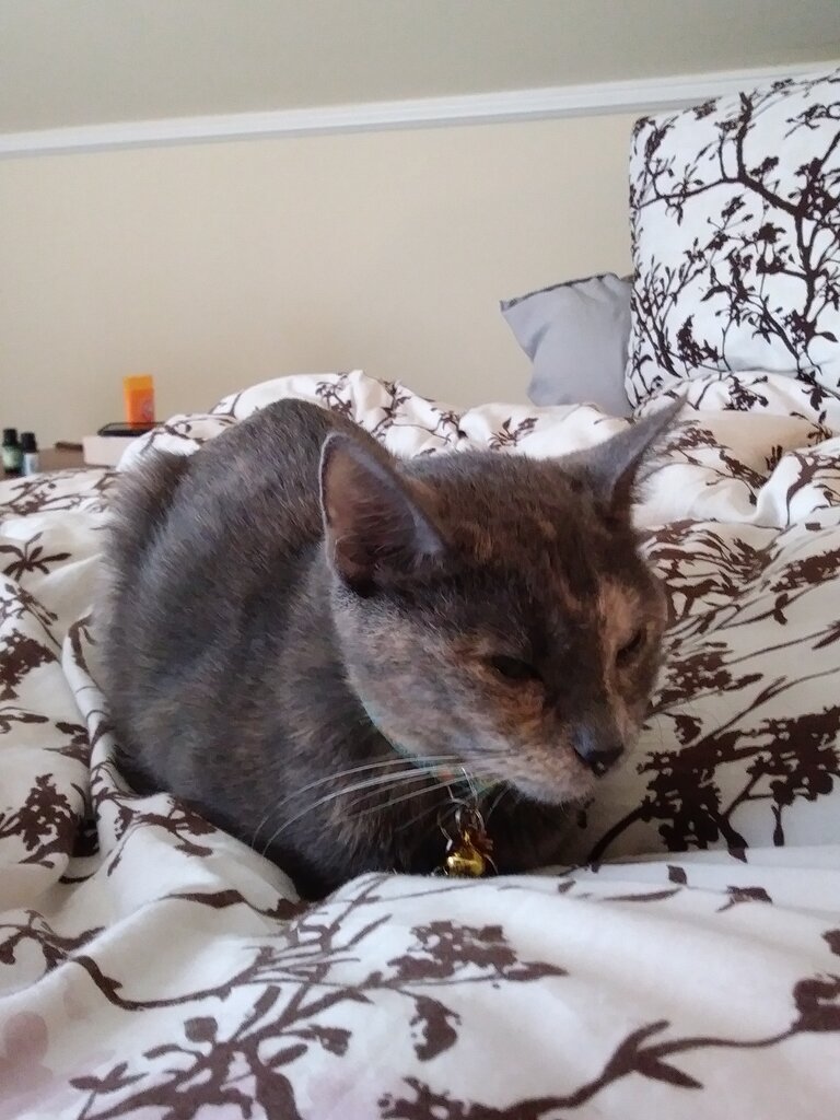 0921191113.jpg