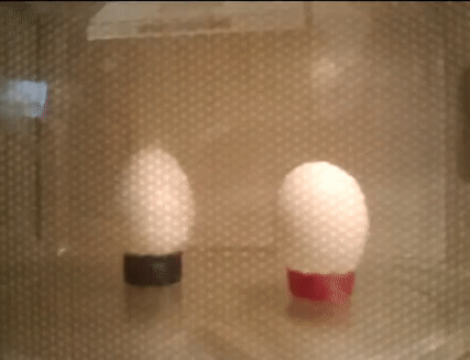 0932497B-3D97-4237-9C0D-ED4A293EE391.gif