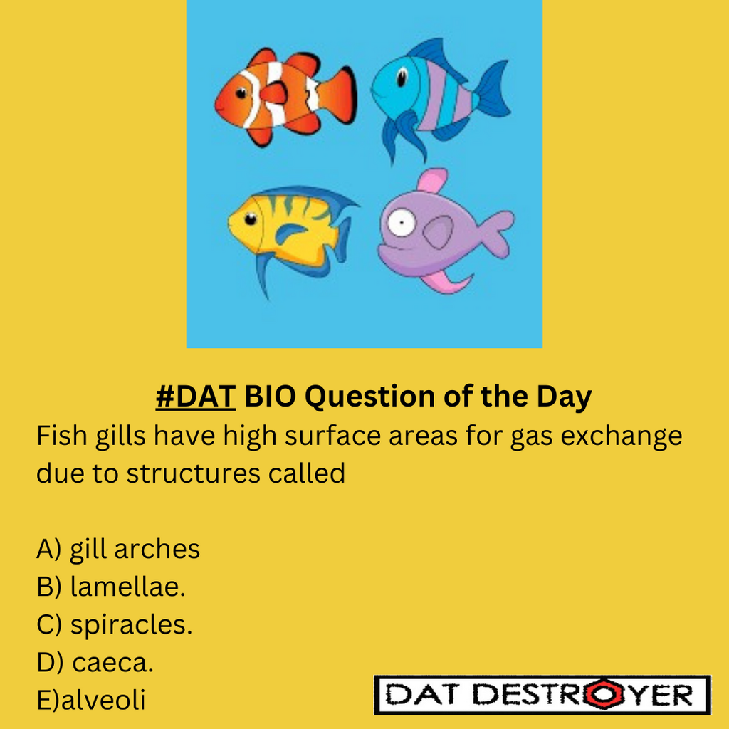 DAT - ➡️DAT BIOLOGY | DAT DESTROYER | OAT DESTROYER | Student 