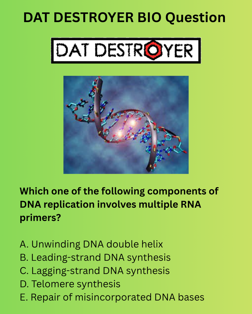 DAT - DAT BIOLOGY DNA Replication Question Most DAT Students Miss | Dr ...