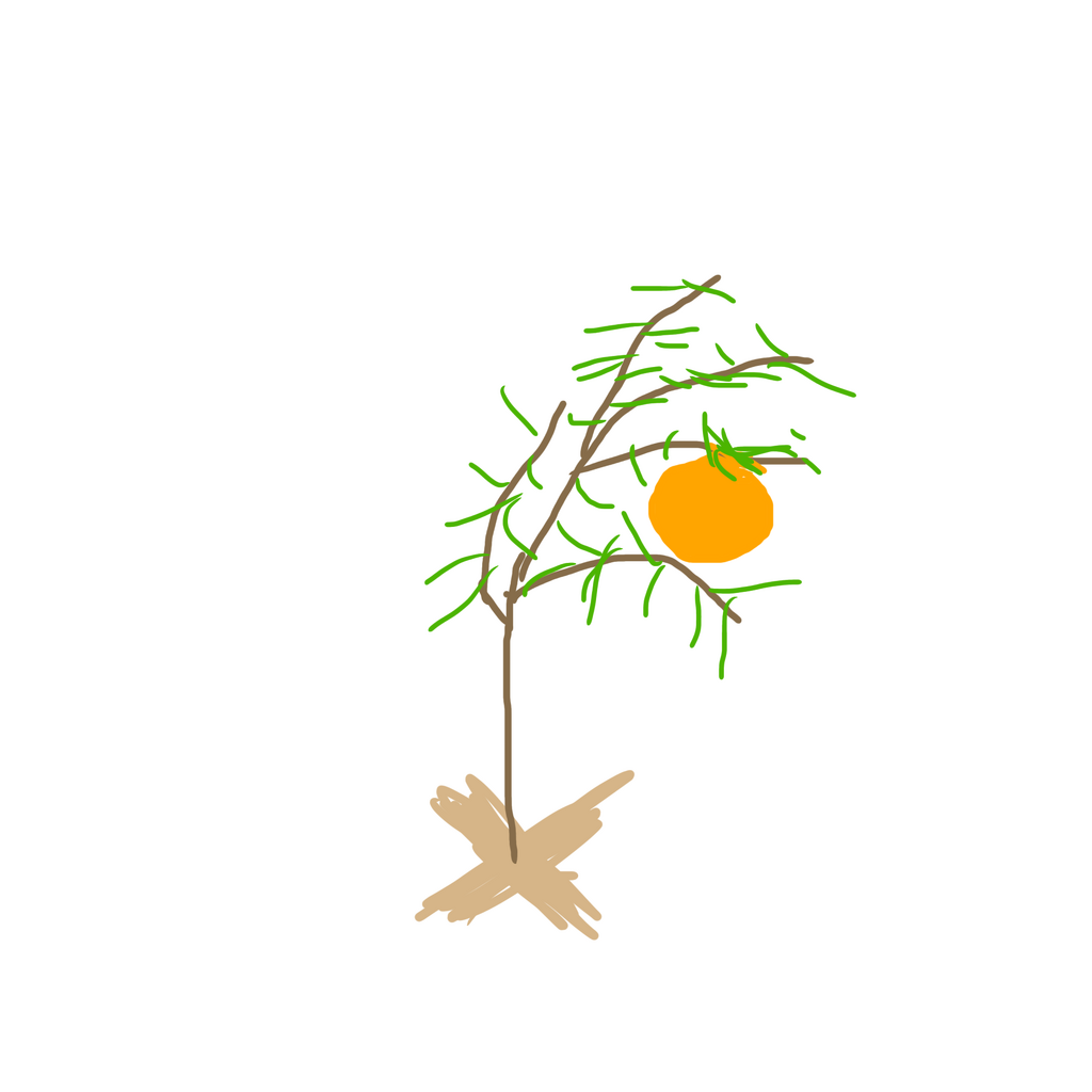 1000000592.png