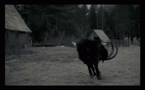 1000013882.gif