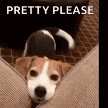 13479E17-919C-40F6-8C0C-F817F7B00D8B.gif