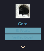 256392