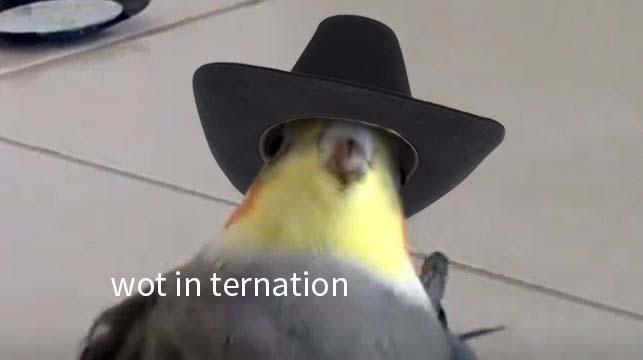274831