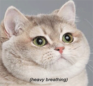 1566503486378.gif
